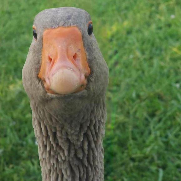 ❤️ OUR SHIP TIMES‼️ PLEASE NOTE‼️❤️ - Picture 1 of 16